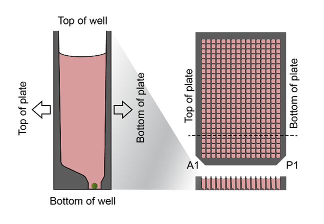 Graphic showing the specific well design of the Akura 384 plate with the SureXchange ledge.