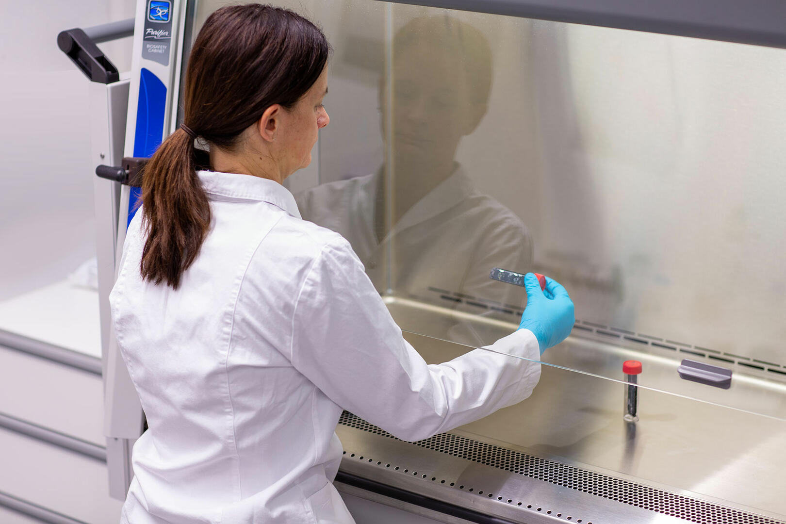 Scientist evaluating a finger dab hygiene test in a biosafety cabinet
