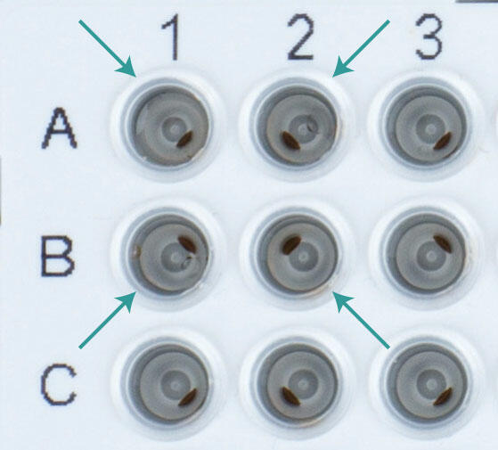 Top shot of a PCR adapter with magnets engaged