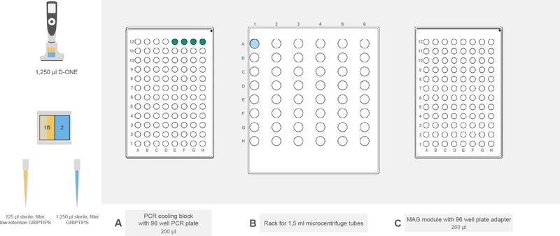 ASSIST PLUS deck set-up for pre-amplification PCR in the Flex Apex workflow.
