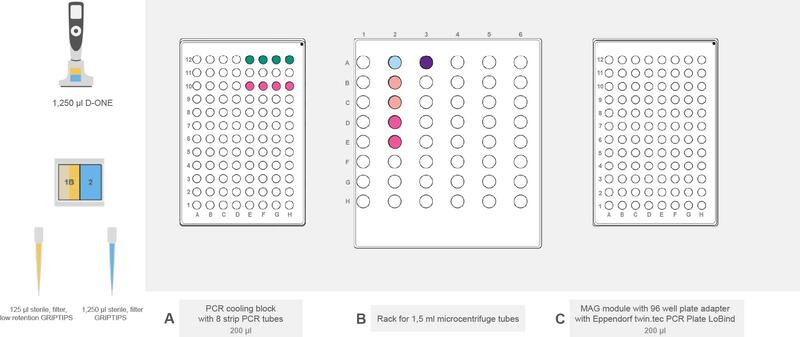 ASSIST PLUS deck set-up for DNA clean-up in the Flex Apex workflow.