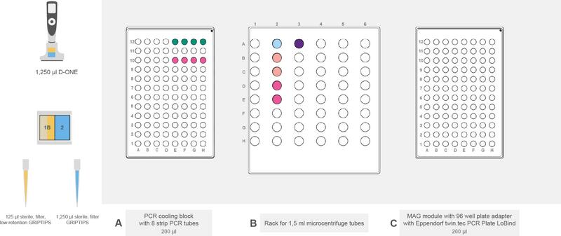 ASSIST PLUS deck set-up for library size selection in the Flex Apex workflow.