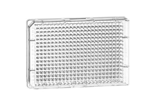 Greiner Bio-One - MICROPLATE, 384 WELL, PS, F-BOTTOM - 781101