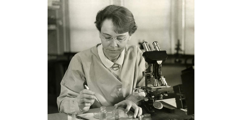 Famous women scientists: Portrait of Barbara McClintock