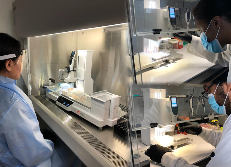 New Hampshire Public Health Laboratories uses the ASSIST PLUS and MINI 96 to automate part of its influenza and SARS-CoV-2 testing process