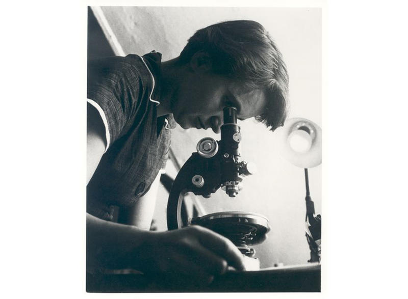 Famous women in science: Portrait of Rosalind Franklin