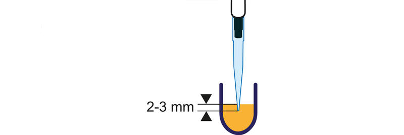 pipette tip immersed just below the liquid's surface in a well