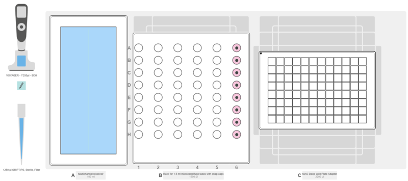 Graphical representation of the ASSIST PLUS pipetting robot deck set-up with diluent, sample tubes and PlateX MP plate on the MAG module.