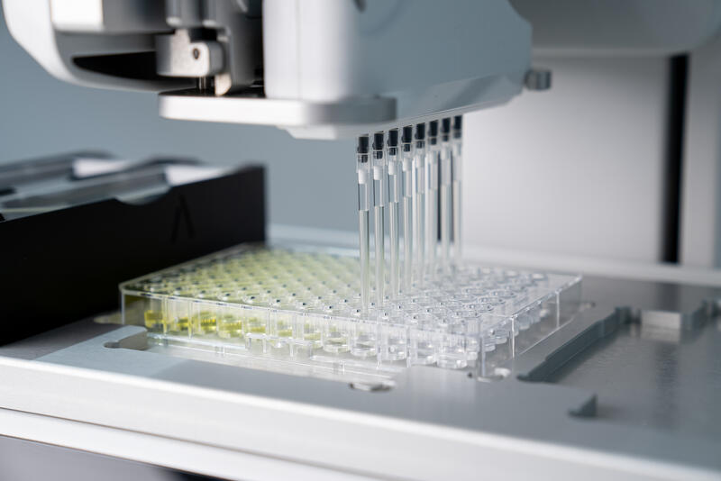 ASSIST PLUS pipetting robot is used to automate a serial dilution in a 96 well plate.