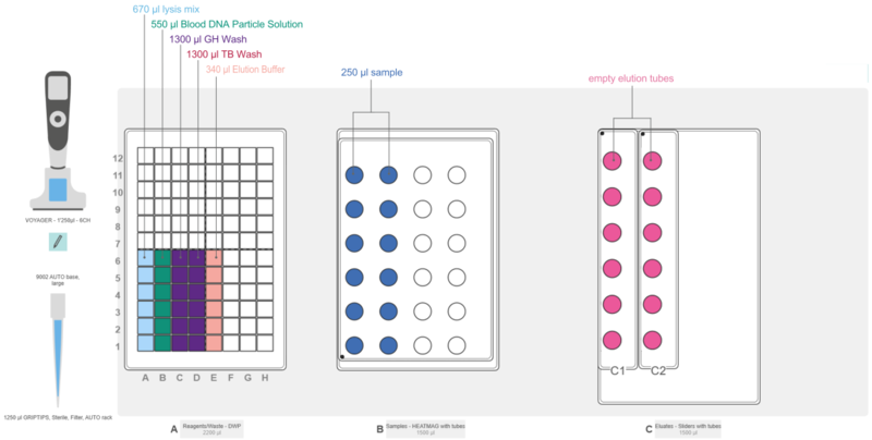 Graphical representation of the ASSIST PLUS deck set-up with an INTEGRA DWP, HEATMAG module with tube adapter, Slider base plate with Sliders and the VOYAGER.