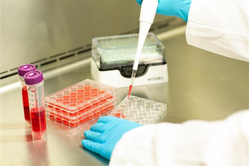 Scientifique distribue du milieu de culture cellulaire dans une plaque 24 puits