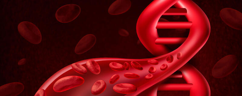 Red blood cells forming a DNA double helix