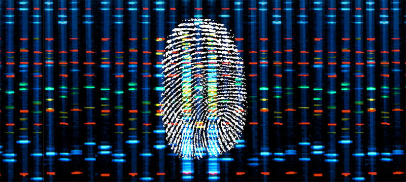 DNA fingerprinting