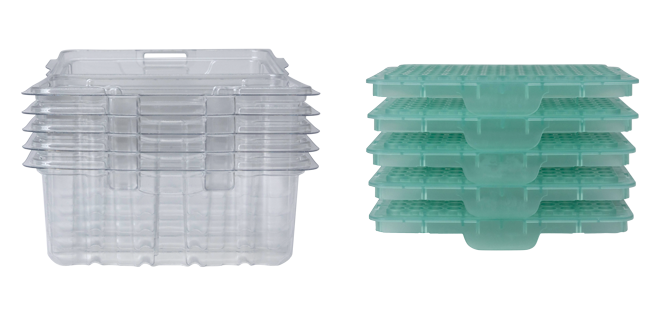ECO Rack rpet inserts and clamshells