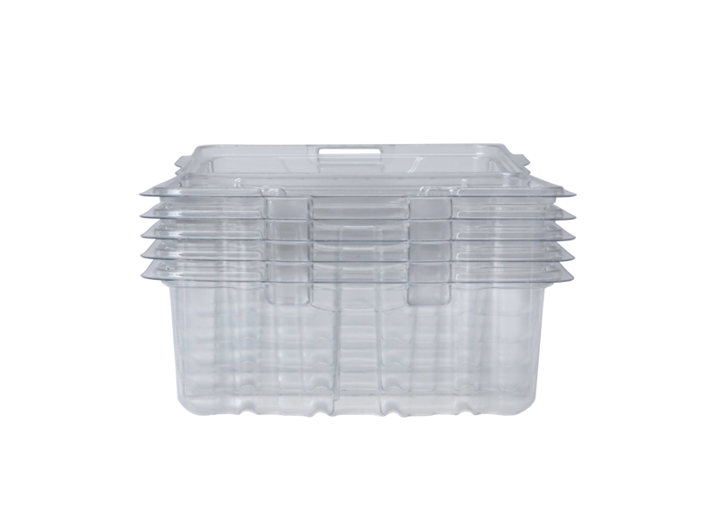 ecorack_rpet-inserts_clamshells_smooshed.png