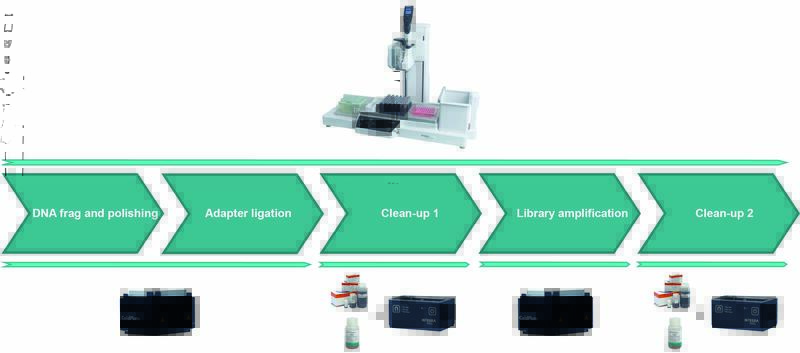 Image showing the ASSIST PLUS and associated modules for each step of the sparQ DNA Frag & Library Prep Kit workflow.