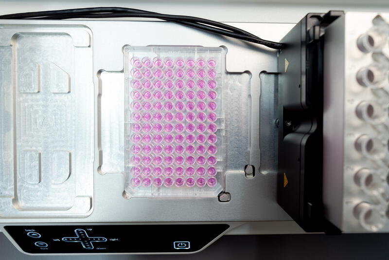 Top view of a 96 well plate after automated Matrigel thin coating dispension for cell culture applications