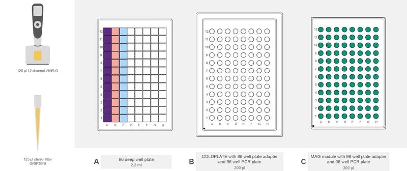 ASSIST PLUS deck set-up for post-adapter ligation clean-up with COLDPLATE and MAG module.