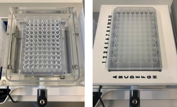 Figure 6: Vacuum manifold set-up for the elution step. The Elution Plate U-bottom is inserted on the spacers inside the manifold base (on the left side). The NucleoSpin Plasmid Binding Plate (white rings) with the cleared lysates is placed on top of the manifold (on the right side).