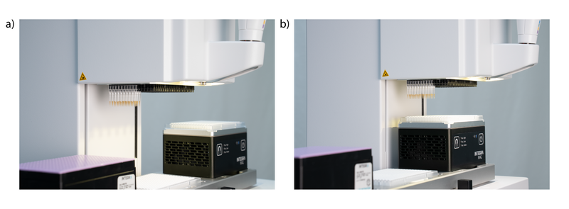 VIAFLO 384 transferring magnetic beads to a 384 well plate on the MAG module.