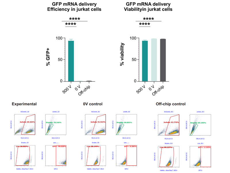 Electroporation of GFP mRNA into Jurkat cell suspensions showing delivery efficiency, cell viability and flow cytometry gating