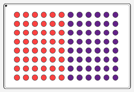 Sample distribution on the 96 well PCR plate.
