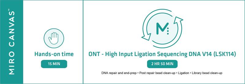 Overview of the experimental set-up for the high input ONT Ligation Sequencing DNA V14 workflow on the MIRO CANVAS.
