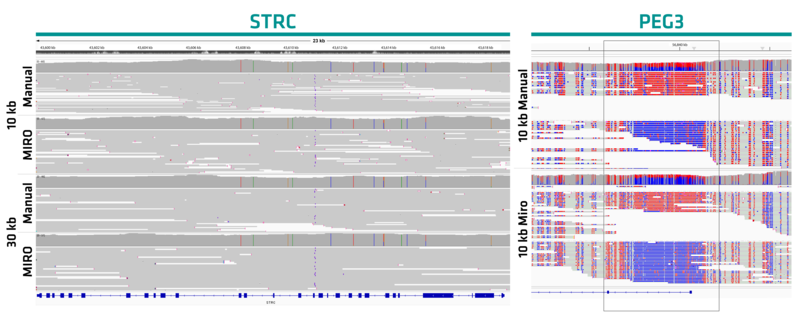 Comparison of coverage across the STRC gene for both 10 kb and 30 kb samples (left) and coverage plus methylation profile comparison across the PEG3 gene for the 10 kb sample (right). MIRO CANVAS libraries had equal or better coverage compared to manually prepared libraries and showed clear maternal imprinting at PEG3.