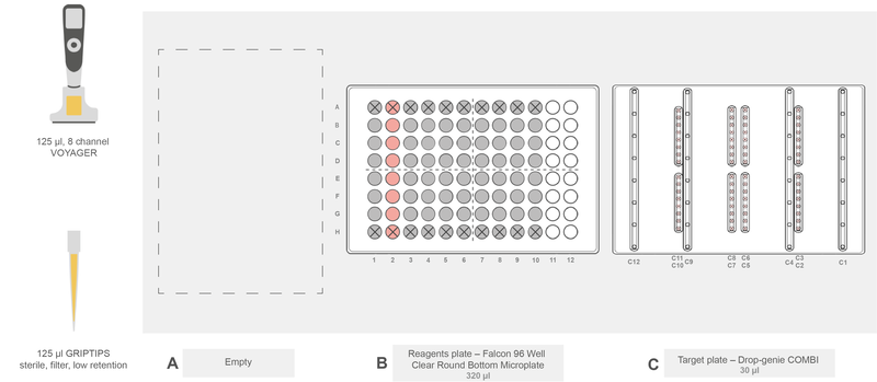 ASSIST PLUS deck setup for the quenching step of the DropGenie workflow for low volume, low cell numbers transfection. Cells in pink indicate wells of the 96 well PCR plate at position B containing the cell medium. The top and bottom row of the 96 well plate are not used. The target wells of the DropGenie cartridge at position C are highlighted in pink with a black dot in the center.