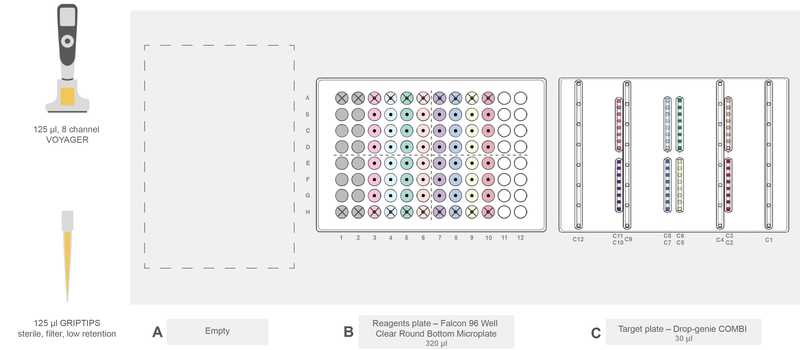 ASSIST PLUS deck setup for the cell transfer step of the DropGenie workflow for low volume, low cell numbers transfection. Post-electroporation cells in the DropGenie cartridge at position C are transferred to the target columns 3-10 of the 96 well PCR plate containing cell medium at position B. The top and bottom row of the 96 well plate are not used. Source and target columns indicated by a black dot in the center are color coded to match.