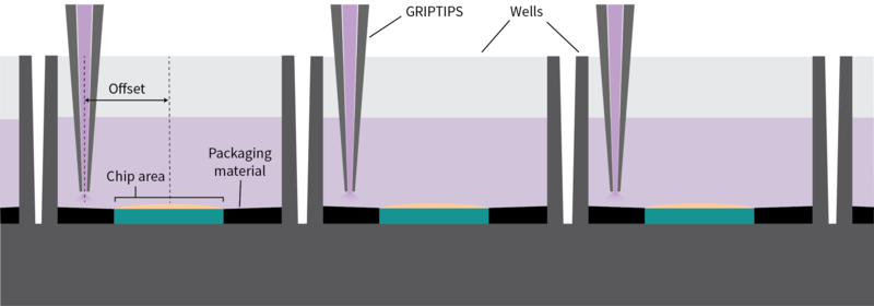 Pipette tip alignment with an offset relative to the chip areas in the MaxTwo 24-Well Plate minimizes mechanical stress on cell cultures during media handling and ensures consistent culture conditions.