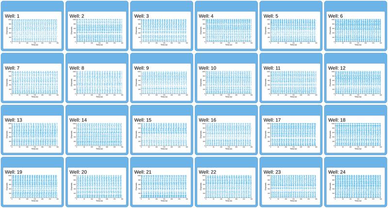 Network raster plots across all 24 wells on DIV 22 show temporal patterns of extracellular action potentials across all recording electrodes within each well, revealing consistent network dynamics in human iPSC-derived neuron-astrocyte co-cultures.