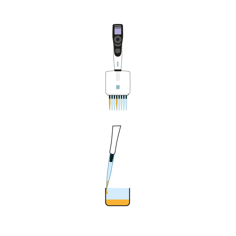 Validate the first and middle channel of a multichannel pipette to determine pipette accuracy and precision