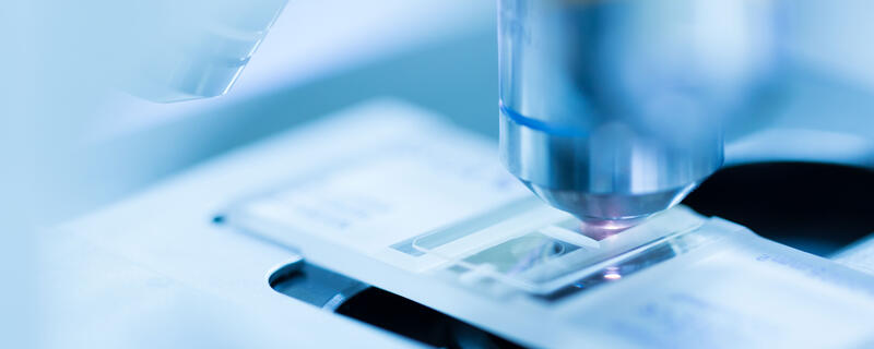 Close-up of a hemocytometer placed on a microscope for cell counting