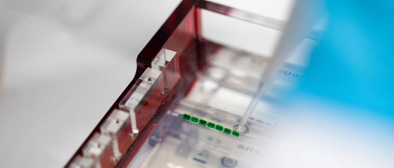 Scientist pipetting a sample into the well of a gel tray to perform agarose gel electrophoresis