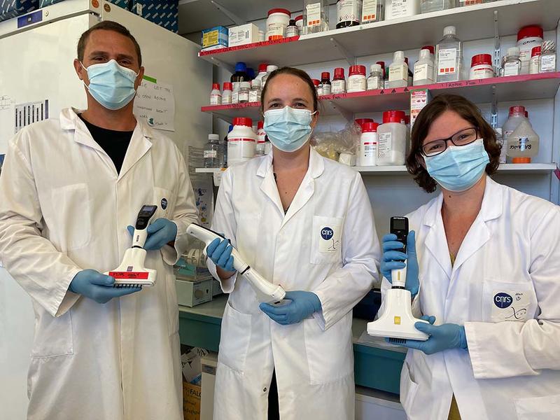Gaël Petitjean, Research Engineer; Scarlette Abbou, Engineer; and Suzie Houssier, Post-Doctoral Researcher at the Centre National de la Recherche Scientifique in Montpellier.