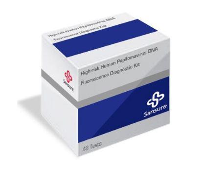 High-risk Human Papilomavirus DNA Fluorescence Diagnostic Kit (PCR-Fluorescence Probing)