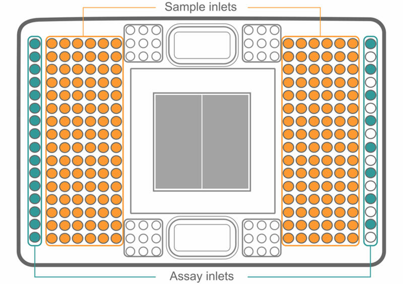 Graphical representation of Fluidigm 192.24 Dynamic Array IFC with the sample and assay inlets.