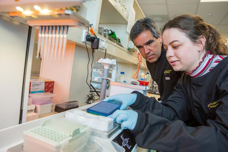 Deux scientifiques travaillent avec le robot de pipetage ASSIST PLUS d'INTEGRA Biosciences