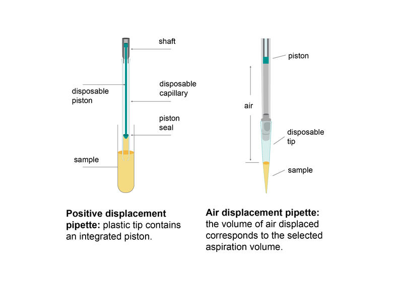 Positive displacement vs. air displacement pipette