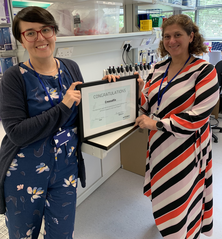 competition winner