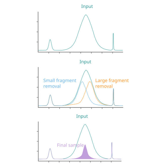 MAGFLO NGS double side single side size selection figure