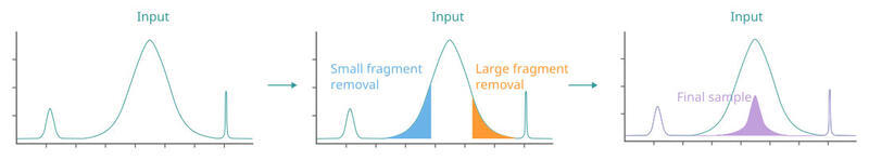 MAGFLO NGS double side single side size selection figure