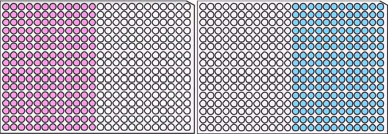 Figure 1: Pipetting scheme for GOI 1 and GOI 2 master mixes
