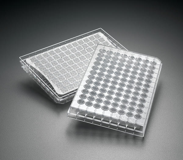 MultiScreenHTS DV Filter Plate, 0.65 µm, clear, non-sterile