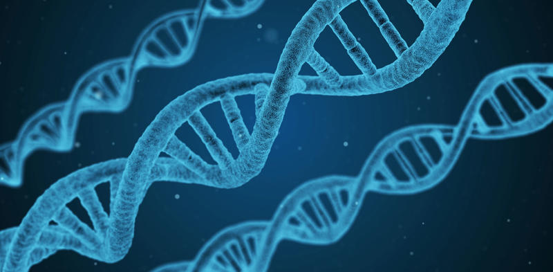 Three nucleic acid double helices