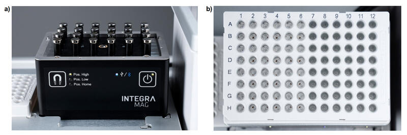 MAG on ASSIST PLUS (a) without 96 well PCR plate adapter showing engaged magnet array (position high, 29 mm), and (b) with 96 well PCR plate adapter and 96 well HardShell PCR plate showing captured magnetic beads after 3 minutes.
