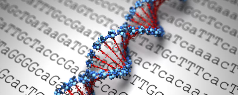 PCR primer design: DNA double helix