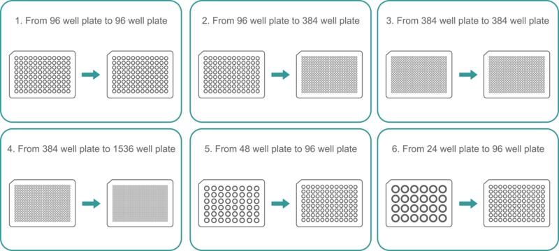 Infographic showing the most common plate to plate transfer procedures with INTEGRA electronic pipettes.