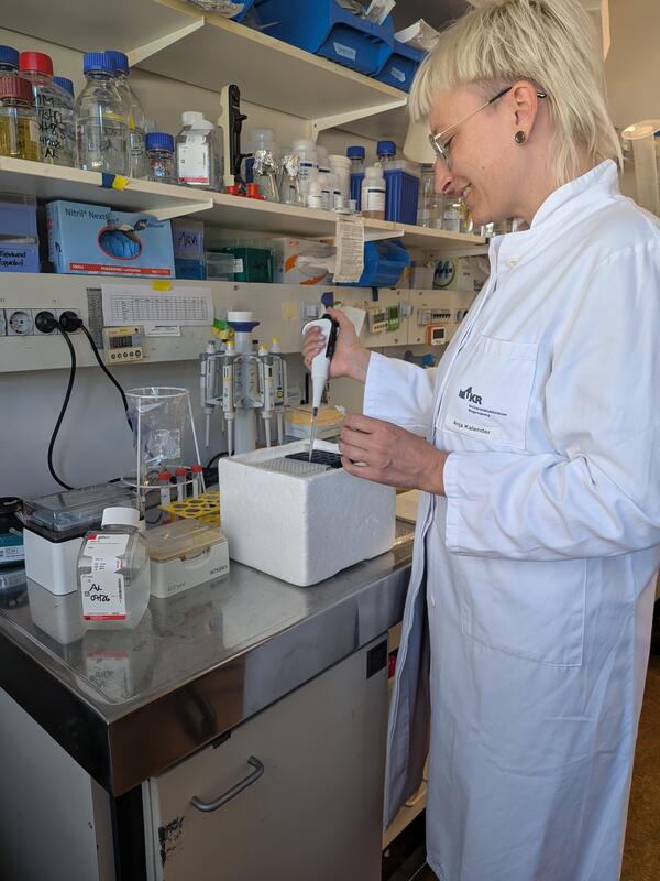 Photo courtesy of University Hospital Regensburg